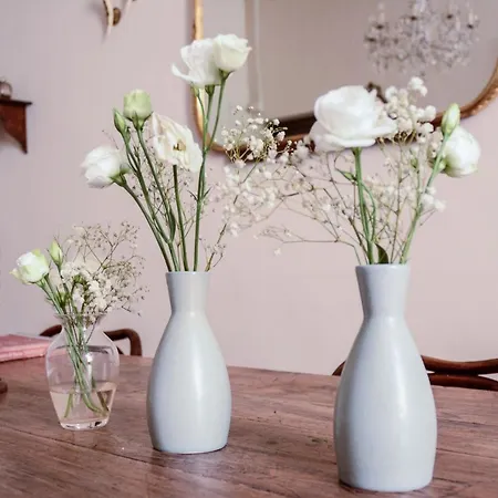 1550 Residenza D'epoca Siena